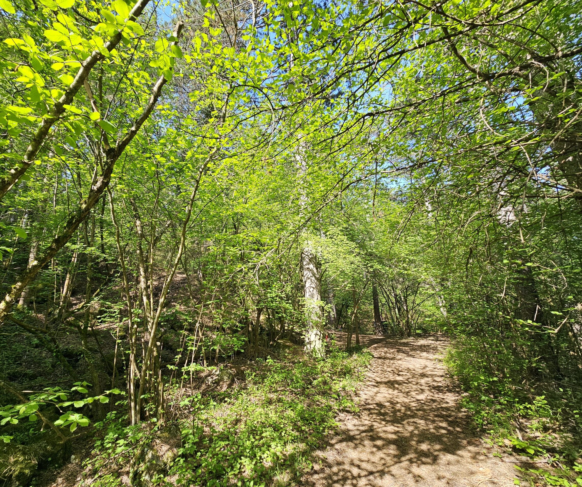 Im Grünen Im Grünen